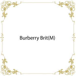 Burberry Brit(M)