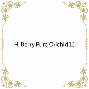H. Berry Pure Orichid(L)