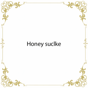Honey suclke