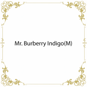 Mr. Burberry Indigo(M)